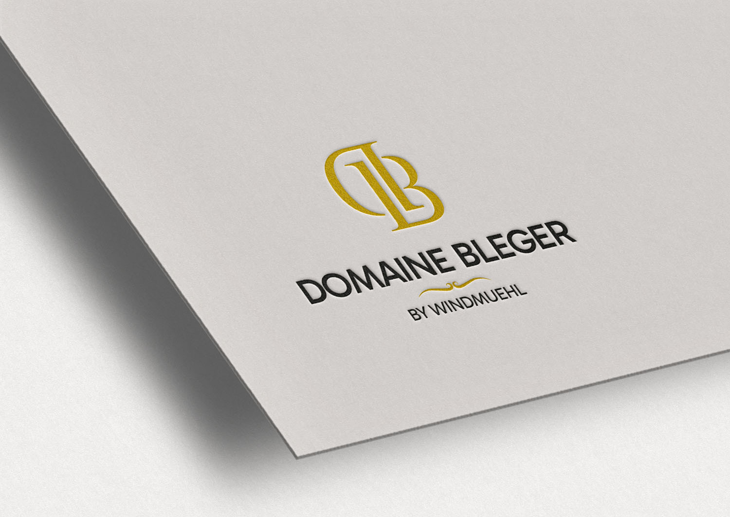 Logotype Domaine Bléger